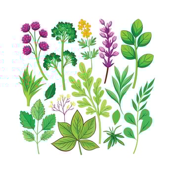 Realistic Beautiful Herbs Illustration vector
