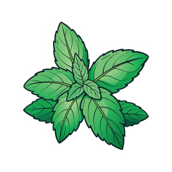 Realistic Beautiful Herbs Illustration vector