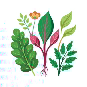 Realistic Beautiful Herbs Illustration vector