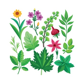 Realistic Beautiful Herbs Illustration vector