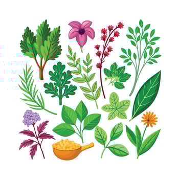 Realistic Beautiful Herbs Illustration vector