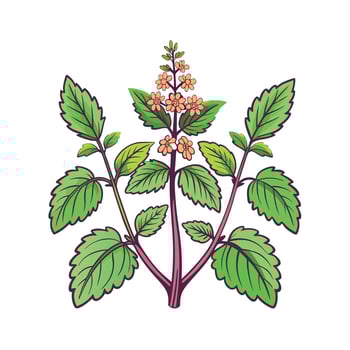 Realistic Beautiful Herbs Illustration vector