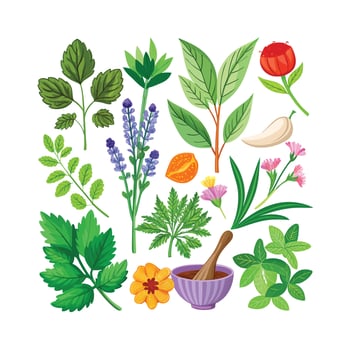 Realistic Beautiful Herbs Illustration vector
