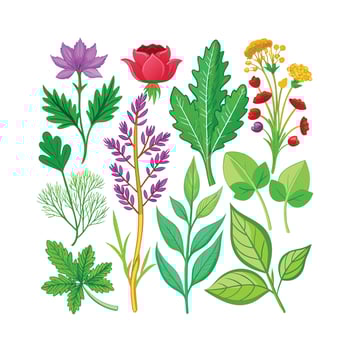 Realistic Beautiful Herbs Illustration vector