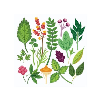 Realistic Beautiful Herbs Illustration vector