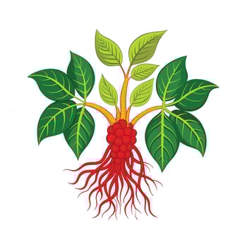 Realistic Beautiful Herbs Illustration vector