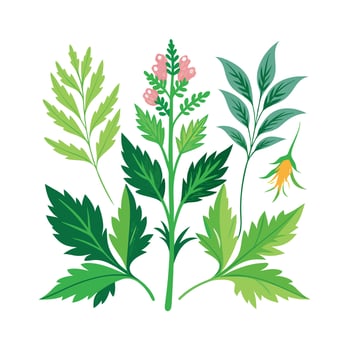 Realistic Beautiful Herbs Illustration vector