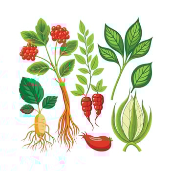 Realistic Beautiful Herbs Illustration vector