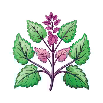 Realistic Beautiful Herbs Illustration vector