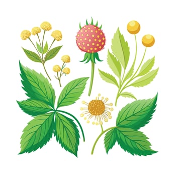 Realistic Beautiful Herbs Illustration vector