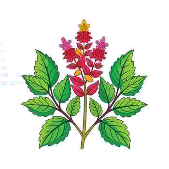 Realistic Beautiful Herbs Illustration vector