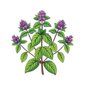 Realistic Beautiful Herbs Illustration vector