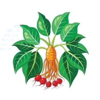 Realistic Beautiful Herbs Illustration vector