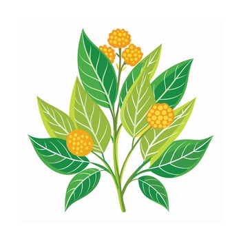 Realistic Beautiful Herbs Illustration vector