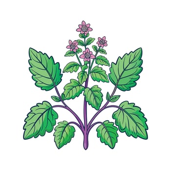 Realistic Beautiful Herbs Illustration vector