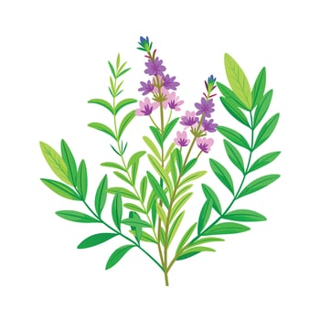 Realistic Beautiful Herbs Illustration vector