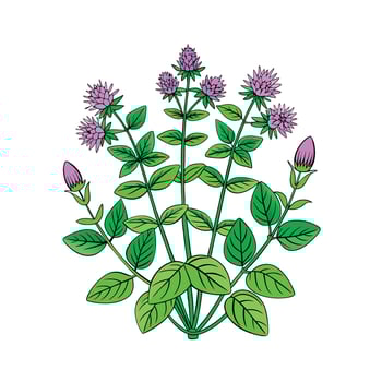 Realistic Beautiful Herbs Illustration vector