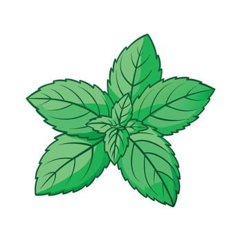 Realistic Beautiful Herbs Illustration vector