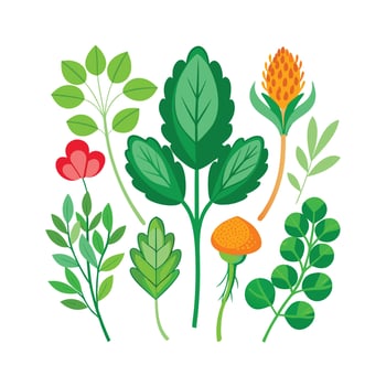 Realistic Beautiful Herbs Illustration vector