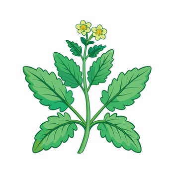 Realistic Beautiful Herbs Illustration vector