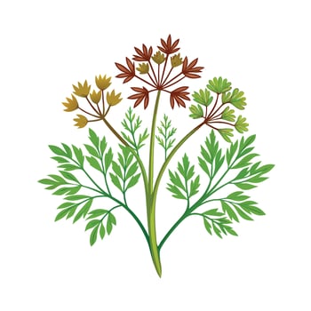 Realistic Beautiful Herbs Illustration vector