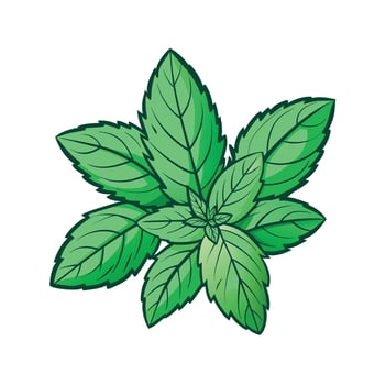 Realistic Beautiful Herbs Illustration vector