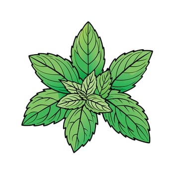 Realistic Beautiful Herbs Illustration vector