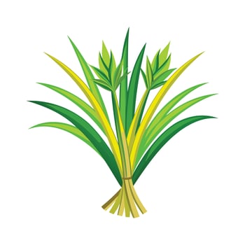 Realistic Beautiful Herbs Illustration vector
