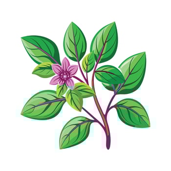 Realistic Beautiful Herbs Illustration vector