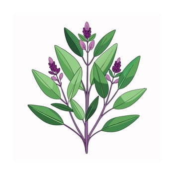 Realistic Beautiful Herbs Illustration vector