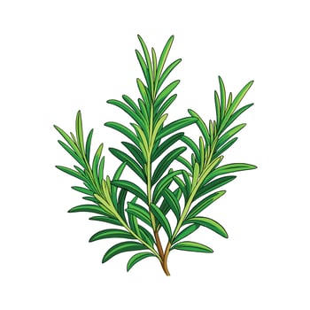 Realistic Beautiful Herbs Illustration vector