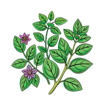 Realistic Beautiful Herbs Illustration vector