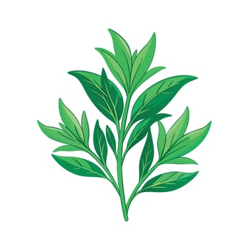 Realistic Beautiful Herbs Illustration vector