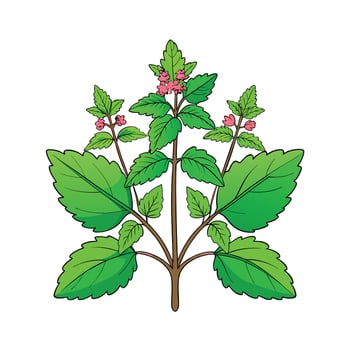 Realistic Beautiful Herbs Illustration vector