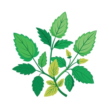 Realistic Beautiful Herbs Illustration vector