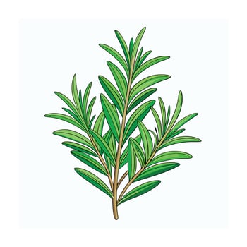 Realistic Beautiful Herbs Illustration vector