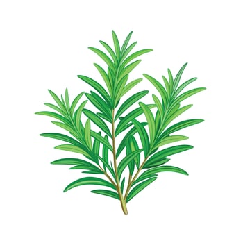Realistic Beautiful Herbs Illustration vector