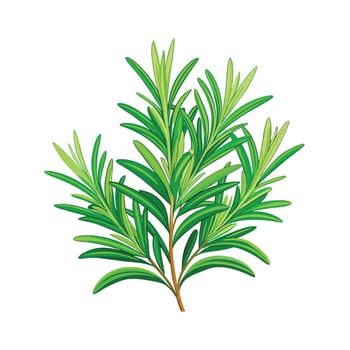 Realistic Beautiful Herbs Illustration vector