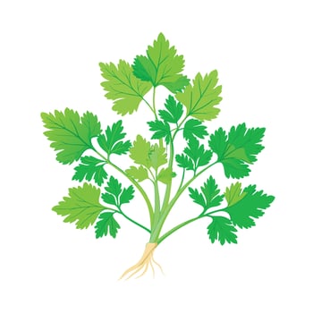 Realistic Beautiful Herbs Illustration vector