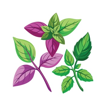 Realistic Beautiful Herbs Illustration vector