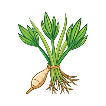 Realistic Beautiful Herbs Illustration vector