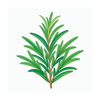 Realistic Beautiful Herbs Illustration vector