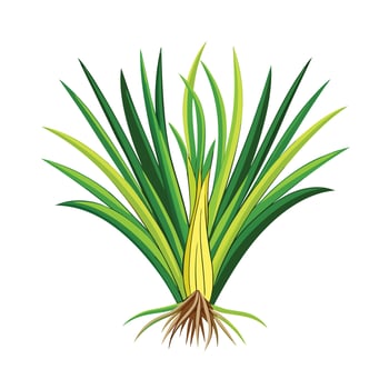 Realistic Beautiful Herbs Illustration vector