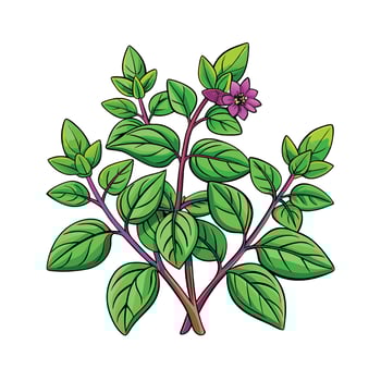 Realistic Beautiful Herbs Illustration vector