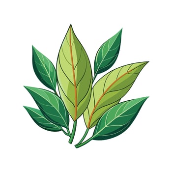 Realistic Beautiful Herbs Illustration vector