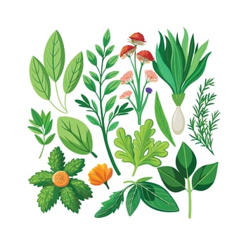 Realistic Beautiful Herbs Illustration vector