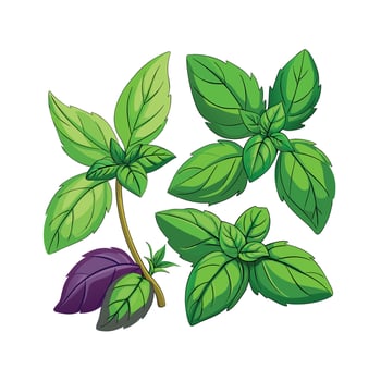 Realistic Beautiful Herbs Illustration vector