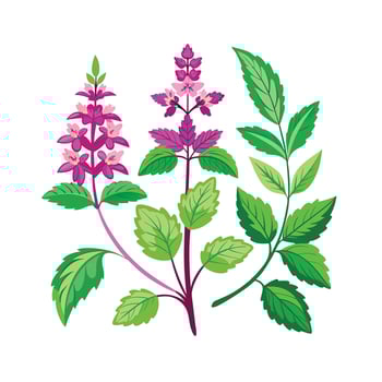 Realistic Beautiful Herbs Illustration vector