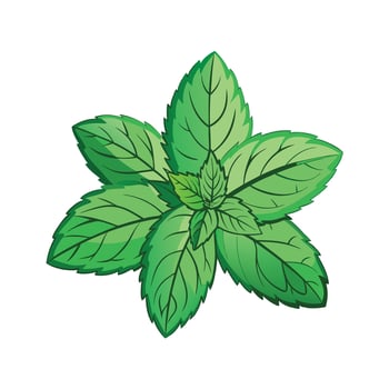 Realistic Beautiful Herbs Illustration vector