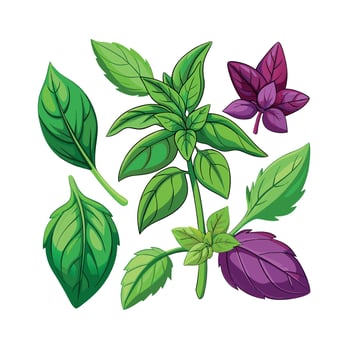 Realistic Beautiful Herbs Illustration vector